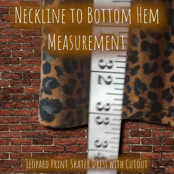 Leopard Print Skater Dress w'Cut Out - Picture 8 of 10